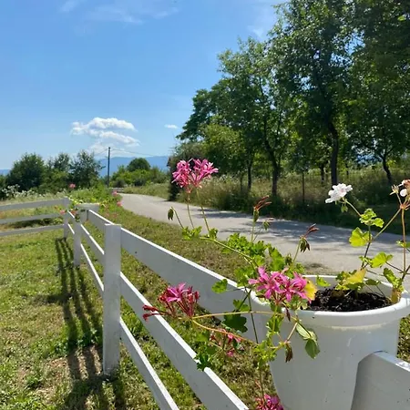 Casa vacanze Hill House Emir *